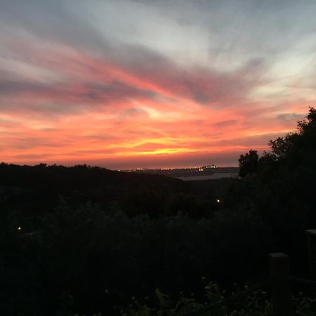 Ein Hod Above The Seaヴィラ エクステリア 写真