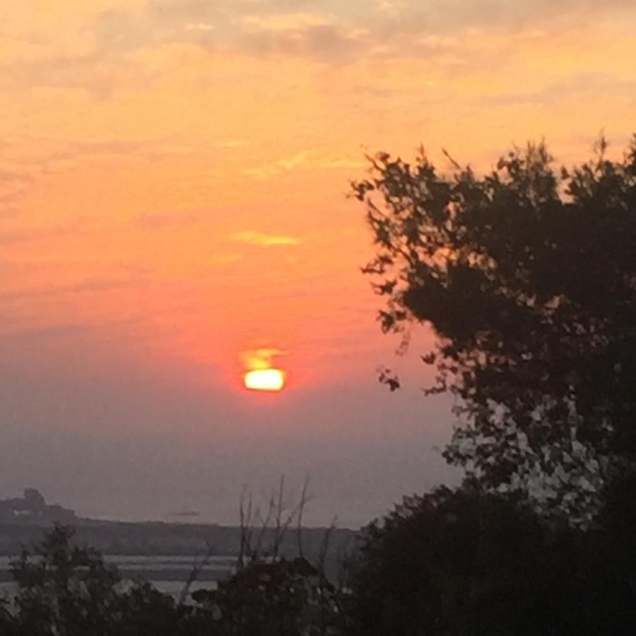 Ein Hod Above The Seaヴィラ エクステリア 写真