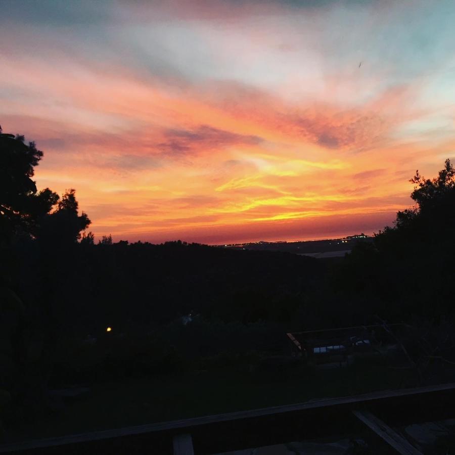 Ein Hod Above The Seaヴィラ エクステリア 写真