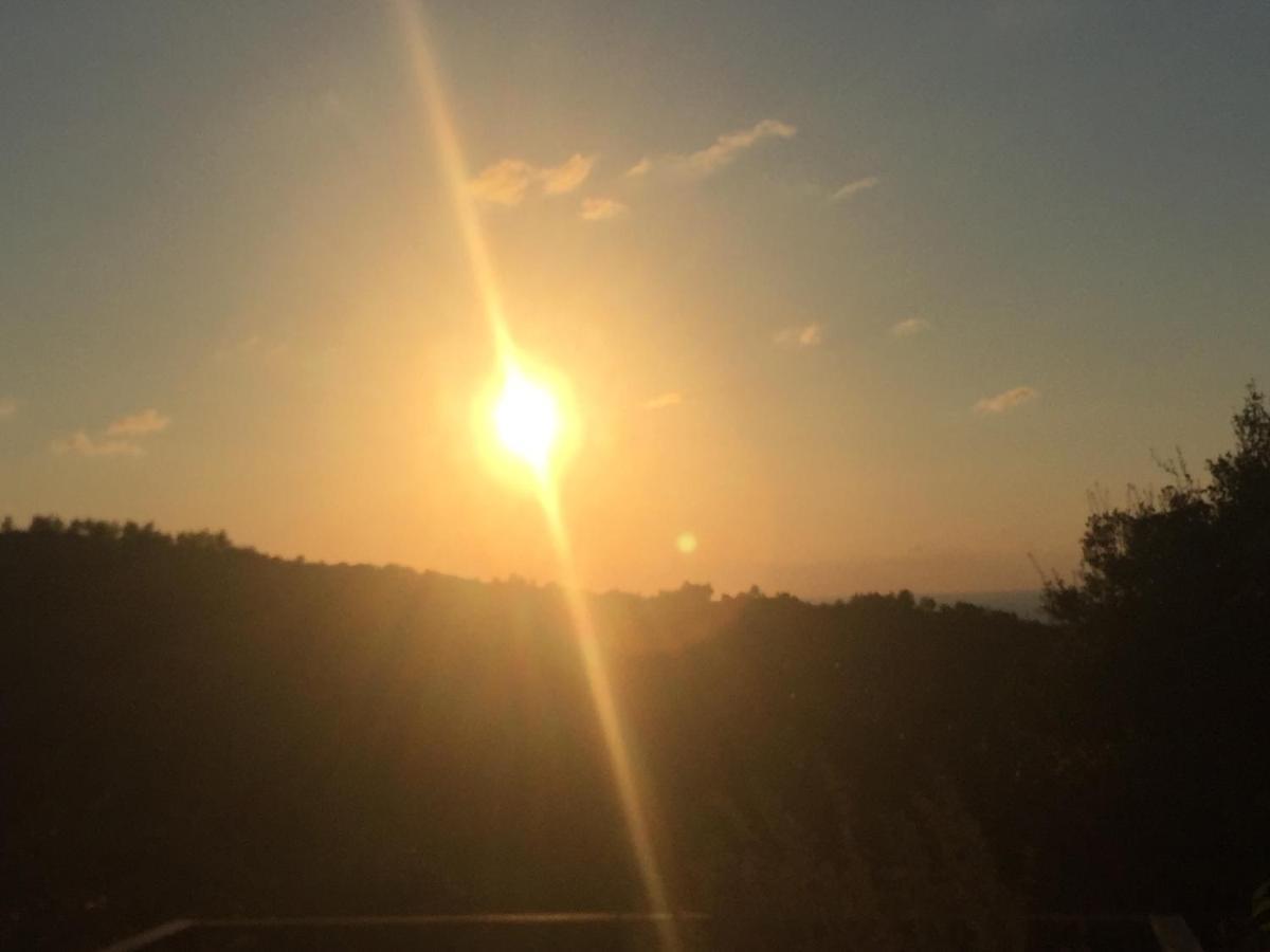 Ein Hod Above The Seaヴィラ エクステリア 写真