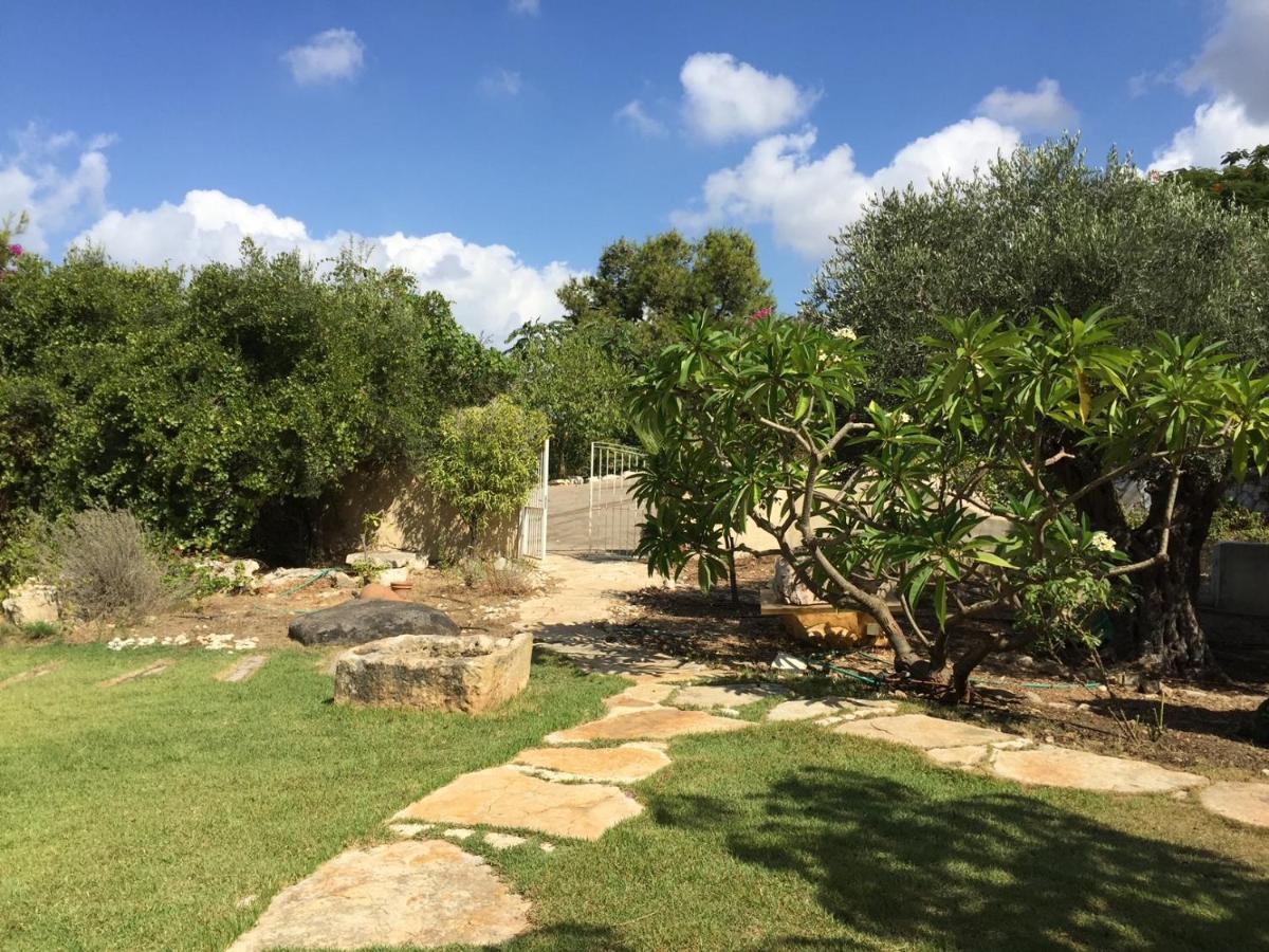 Ein Hod Above The Seaヴィラ エクステリア 写真