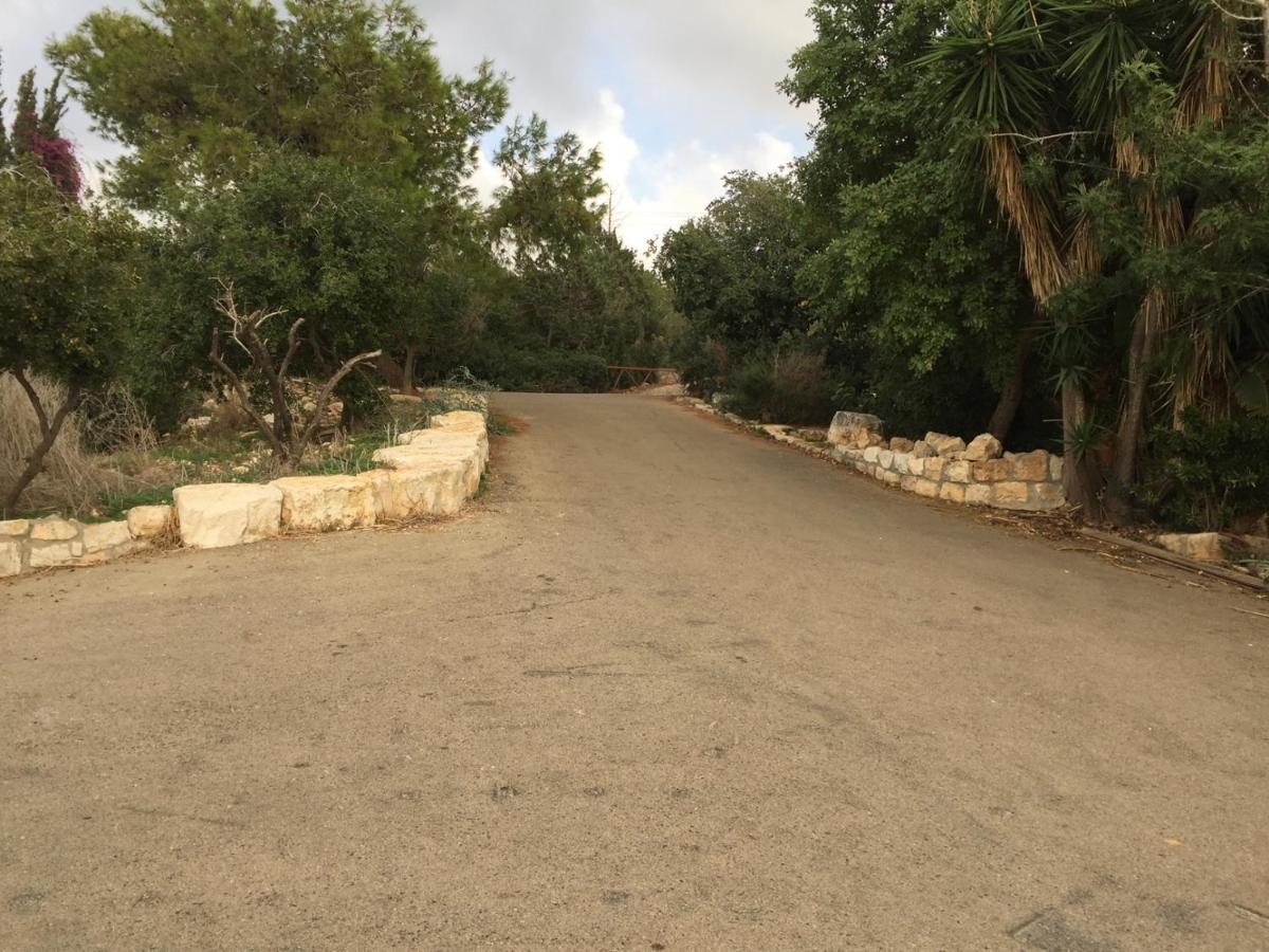 Ein Hod Above The Seaヴィラ エクステリア 写真
