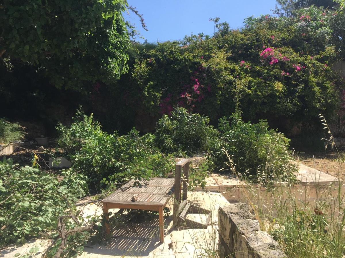 Ein Hod Above The Seaヴィラ エクステリア 写真