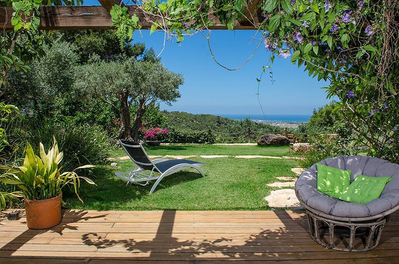 Ein Hod Above The Seaヴィラ エクステリア 写真