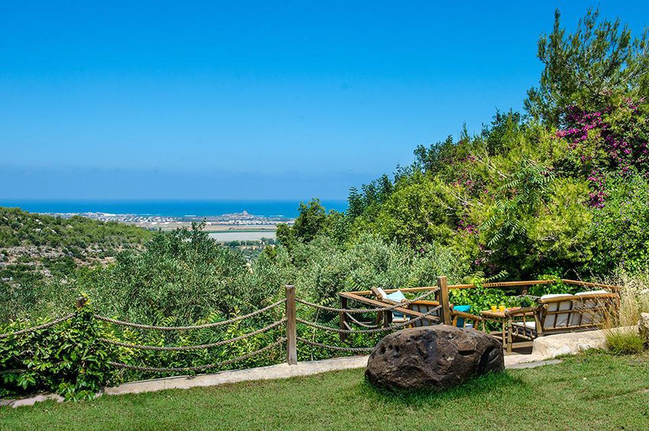 Ein Hod Above The Seaヴィラ エクステリア 写真