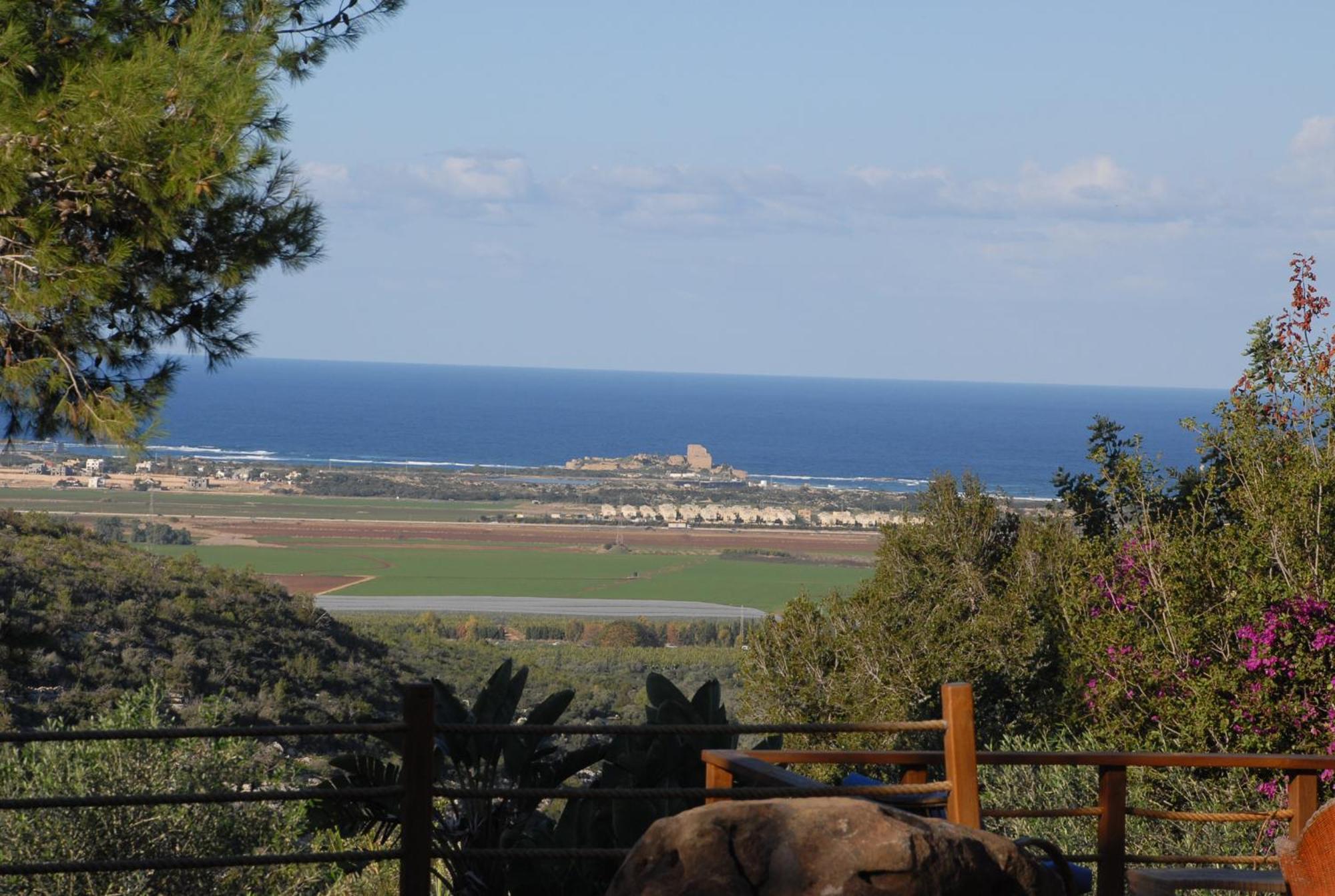 Ein Hod Above The Seaヴィラ エクステリア 写真