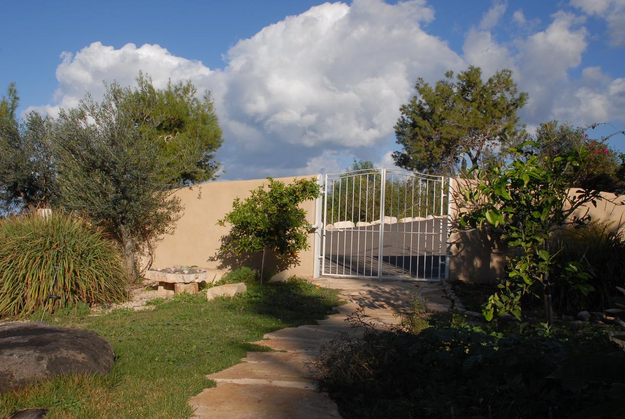 Ein Hod Above The Seaヴィラ エクステリア 写真